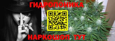 PSILOCYBIN Туймазы