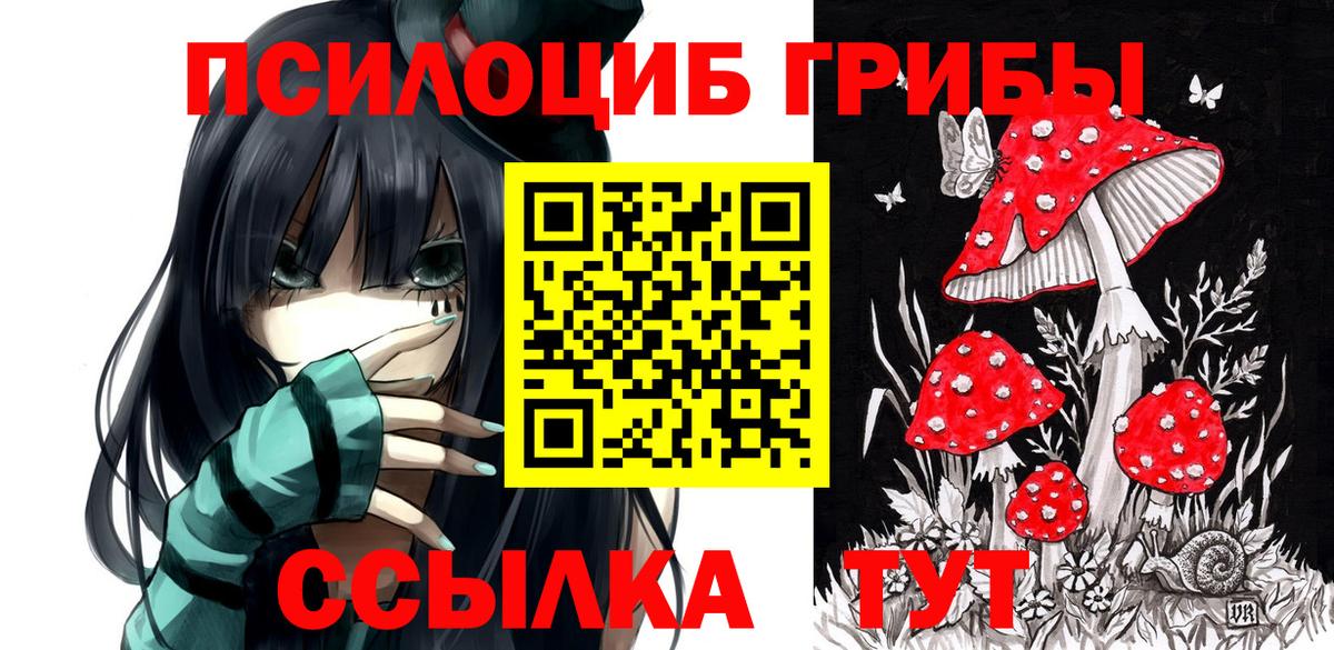Псилоцибиновые грибы прущие грибы  Вход с VPN  Менделеевск  Псилоцибиновые грибы GOLDEN TEACHER 